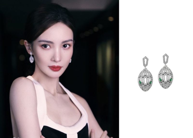 Bottega VENENTA Earrings